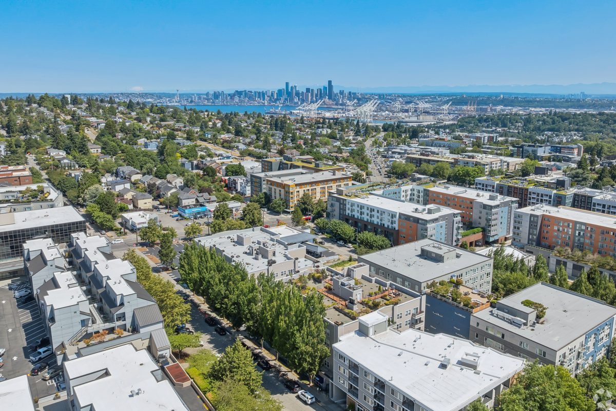 Aerial of the neighborhood